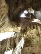 201500_451261234_1large