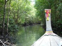 201500_451261242_1large