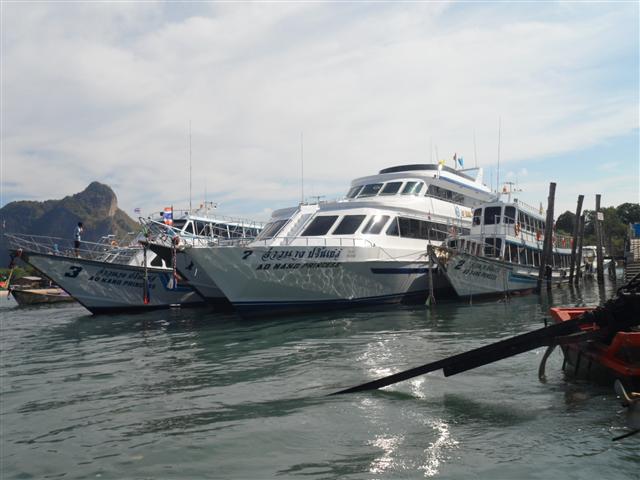 3月23日13 (17).JPG